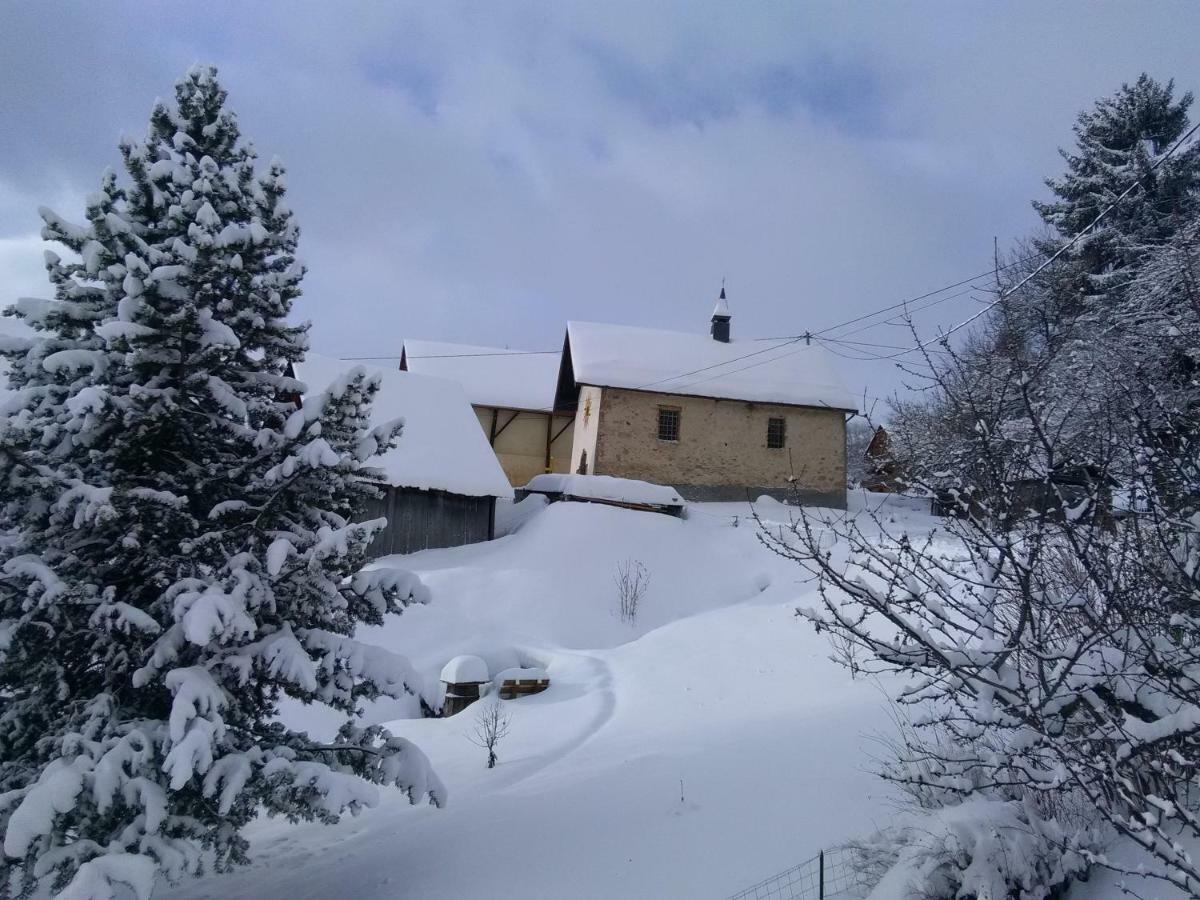 Jarrier Bel Appartement Au Rez De Chaussee D'Un Chalet מראה חיצוני תמונה